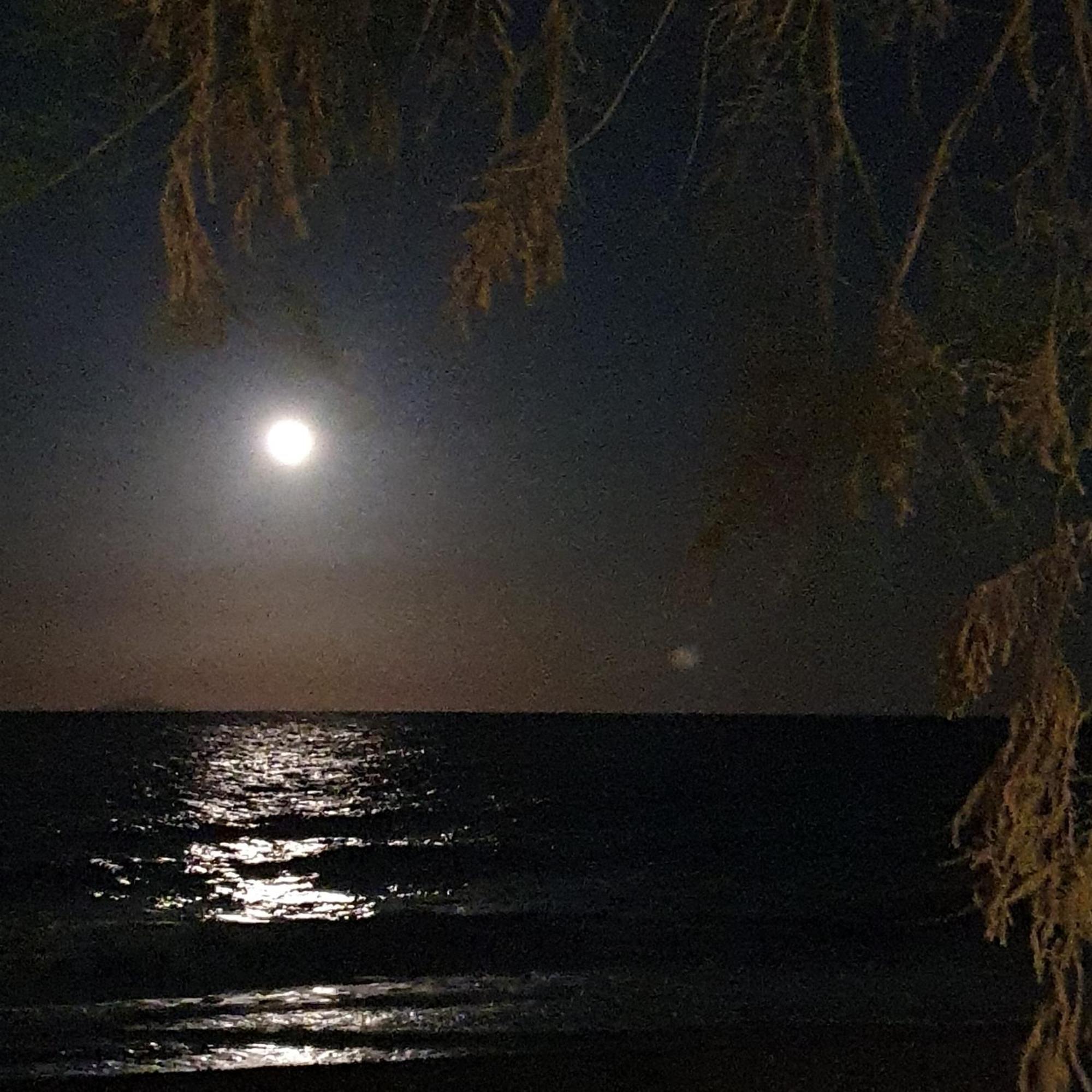 Arion Bay Hotel Santorini Καμάρι Εξωτερικό φωτογραφία